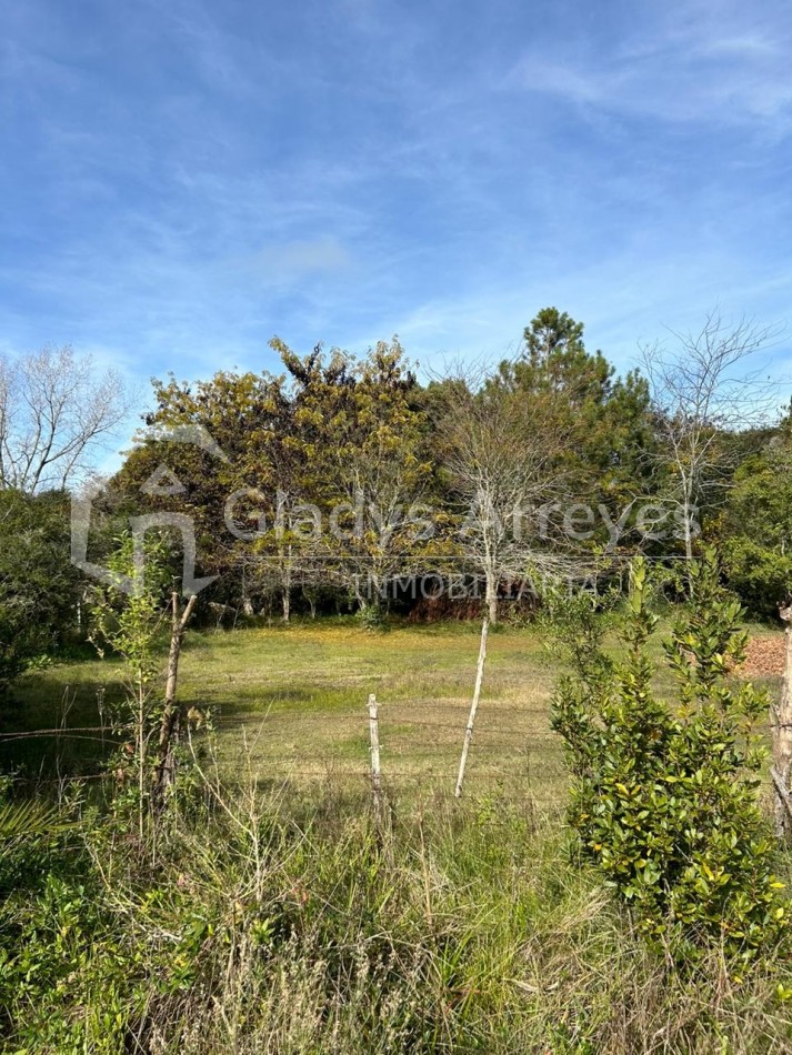 Lote De 20x80 En Esq. Calles Querandies Y Guaranies De Punta Indio, Provincia De Buenos Aires.