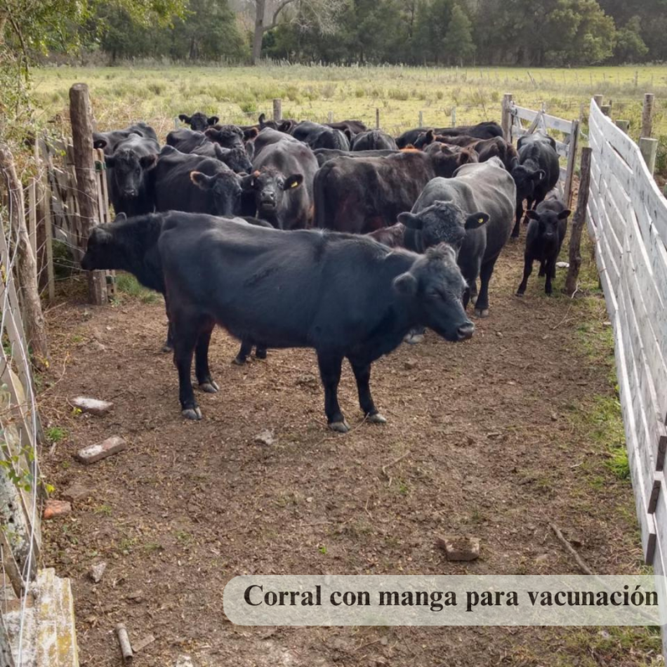 29.6 Hectareas En Circ. 15 De Veronica, Partido De Punta Indio.