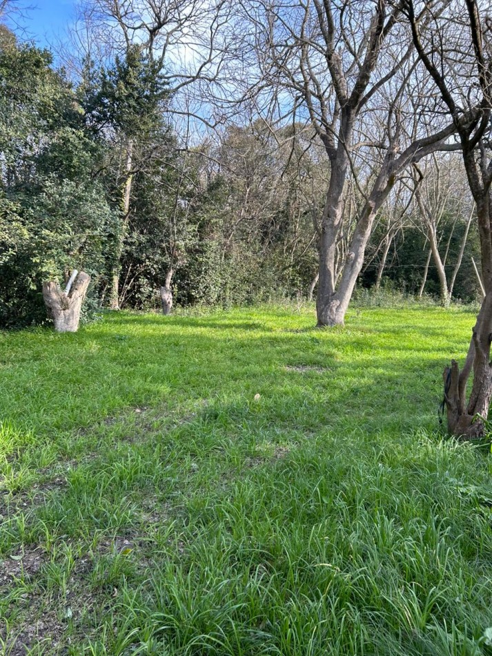 Lote De 40x167 En Punta Indio, Provincia De Buenos Aires.