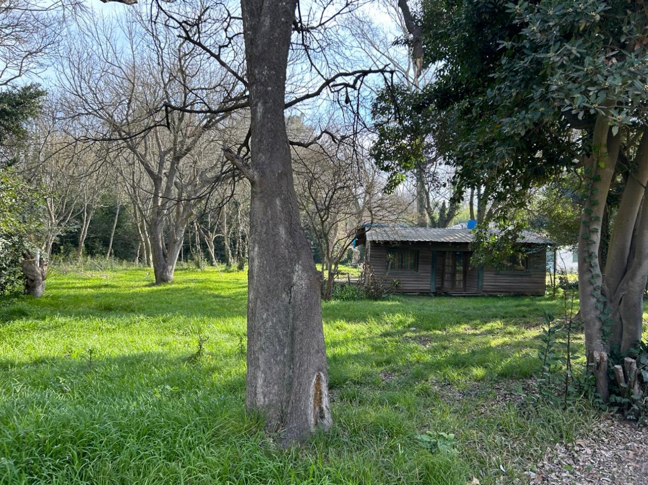 Lote De 40x167 En Punta Indio, Provincia De Buenos Aires.