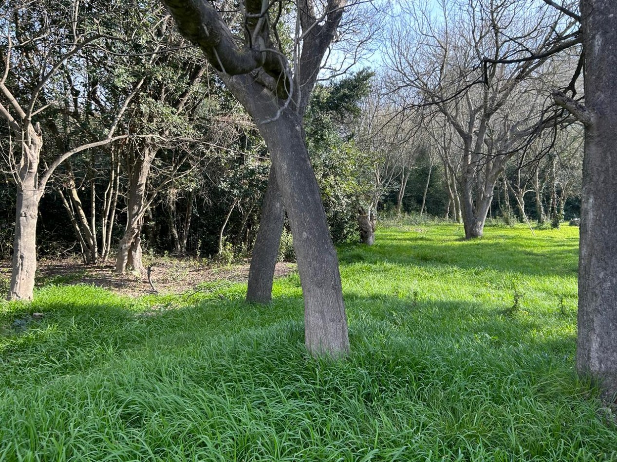 Lote De 40x167 En Punta Indio, Provincia De Buenos Aires.