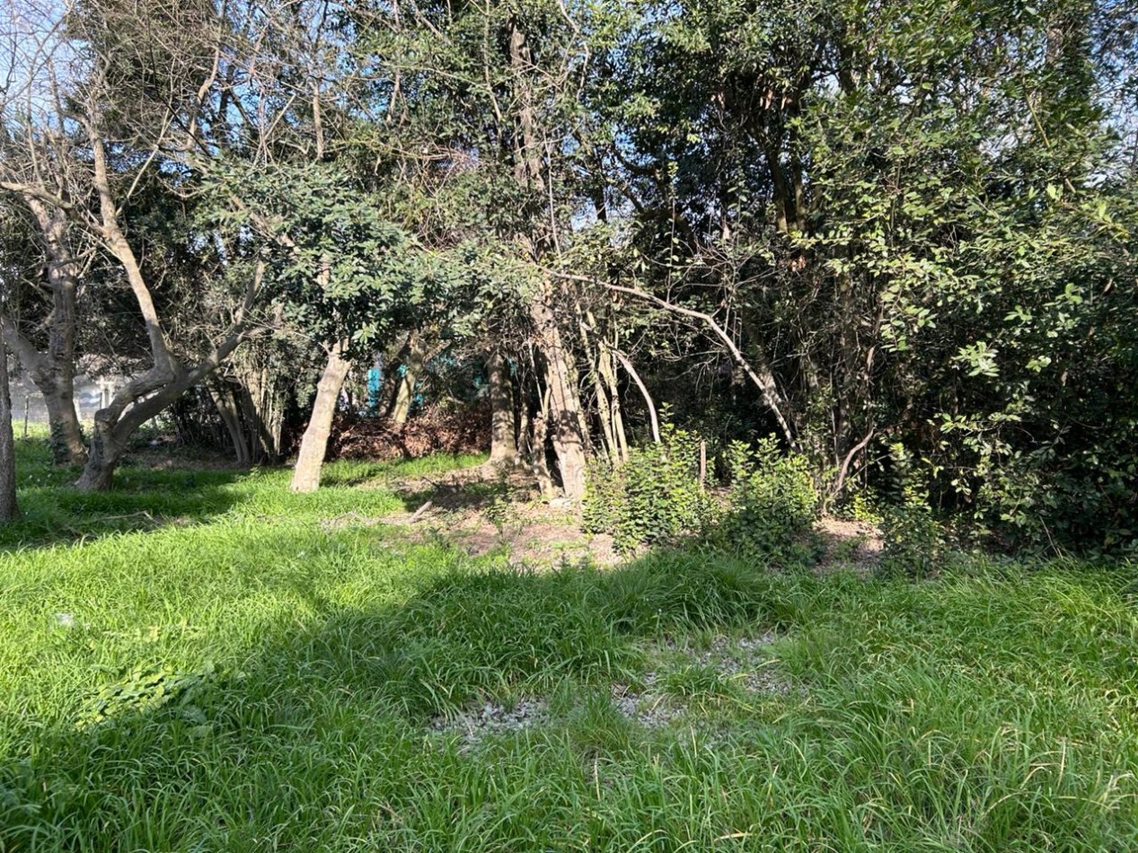 Lote De 40x167 En Punta Indio, Provincia De Buenos Aires.