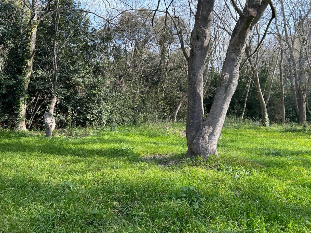 Lote De 40x167 En Punta Indio, Provincia De Buenos Aires.