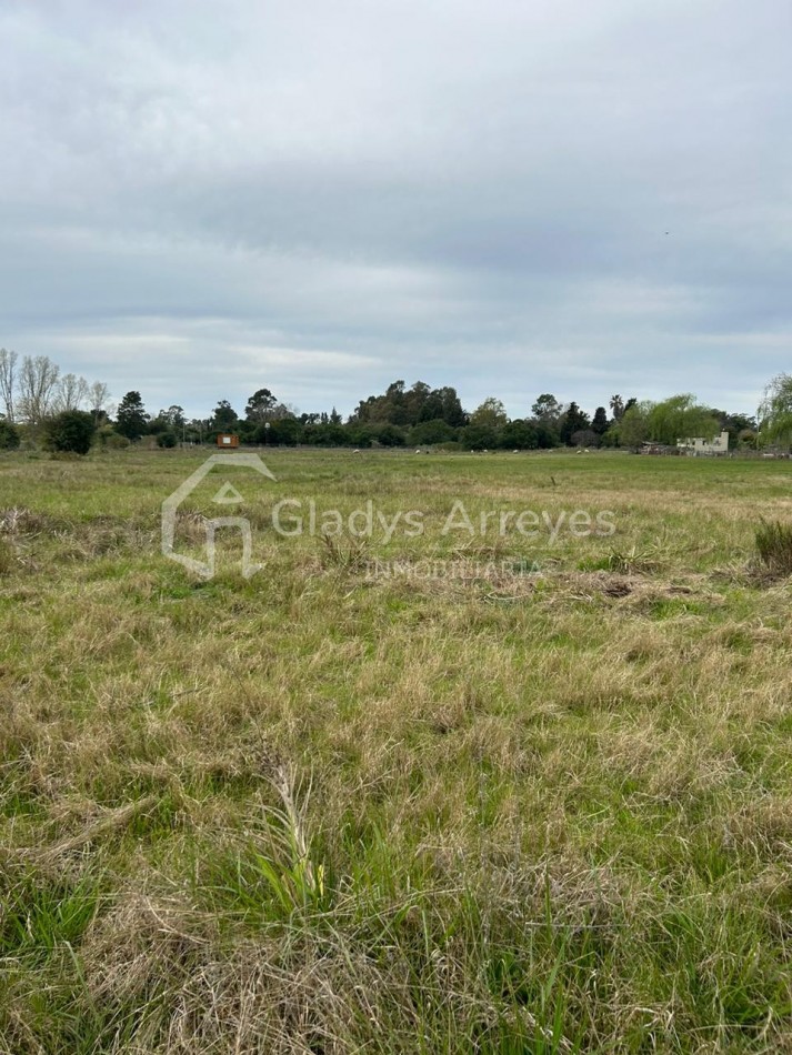 Lote De 20.50x123mts Sobre Ruta 11 E/ Coliqueo Y Tupac Amaru De Punta Indio.