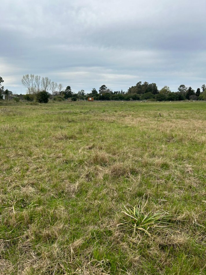 Lote De 20.50x123mts Sobre Ruta 11 E/ Coliqueo Y Tupac Amaru De Punta Indio.