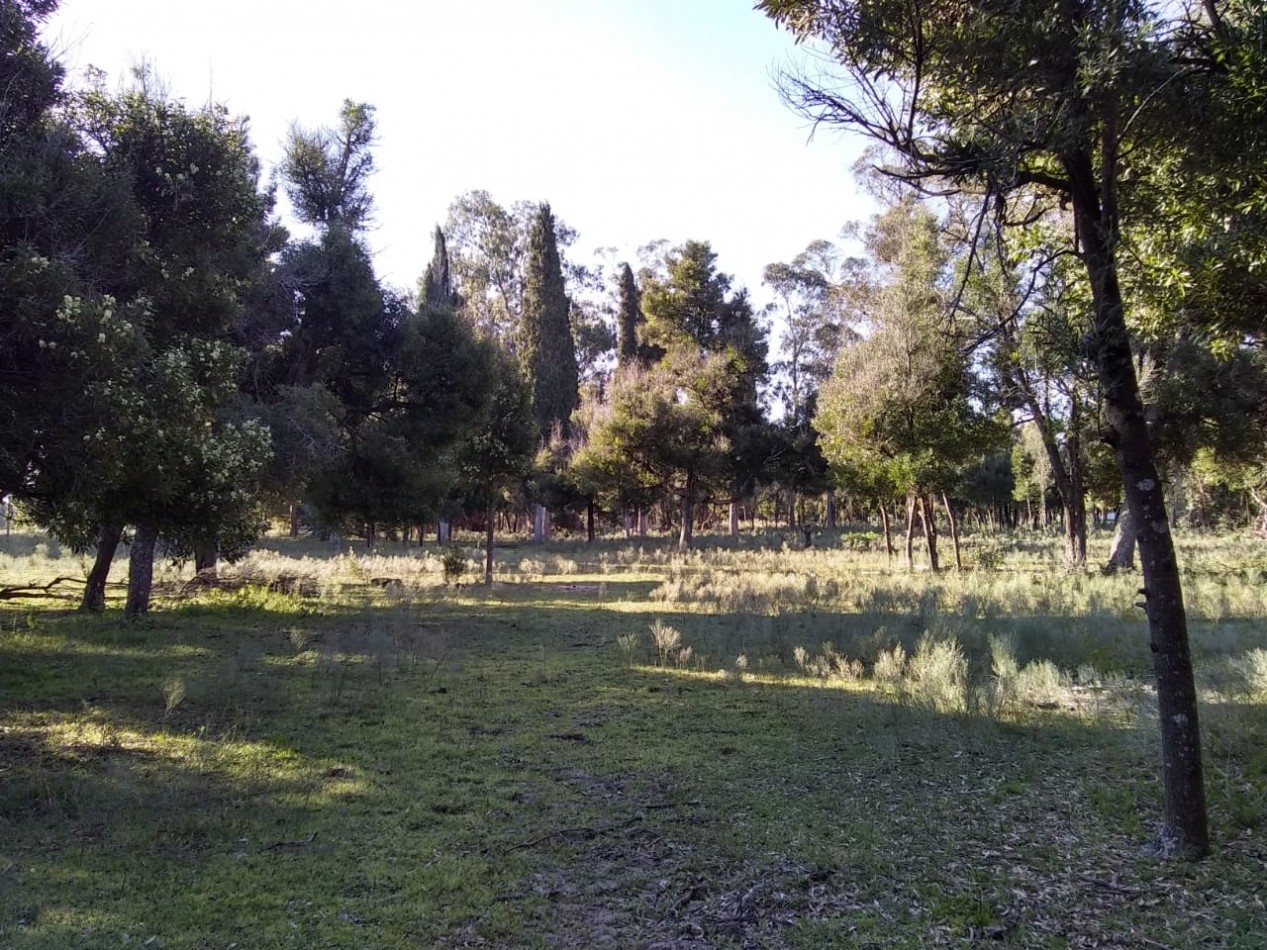 4.53 Hectareas En Las Tahonas, Punta Indio