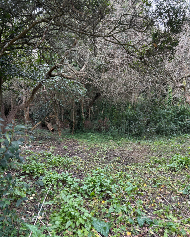 Lote de 20x40 en calle Guemes entre Moreno y Sarmiento, Punta Indio