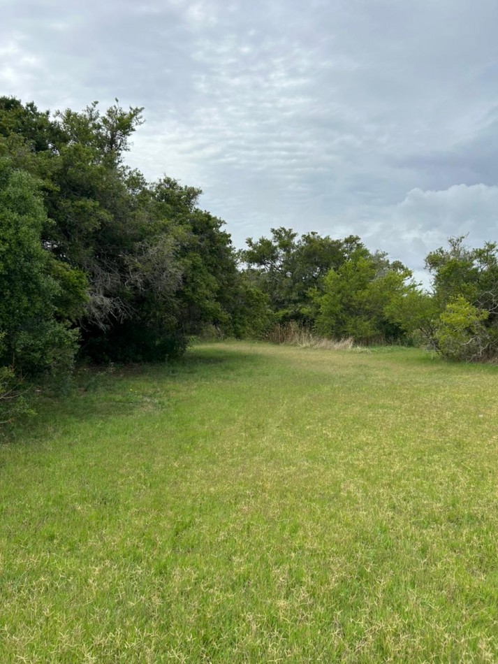 En venta lote de 20x70 en calle Mamboreta, Punta del Indio