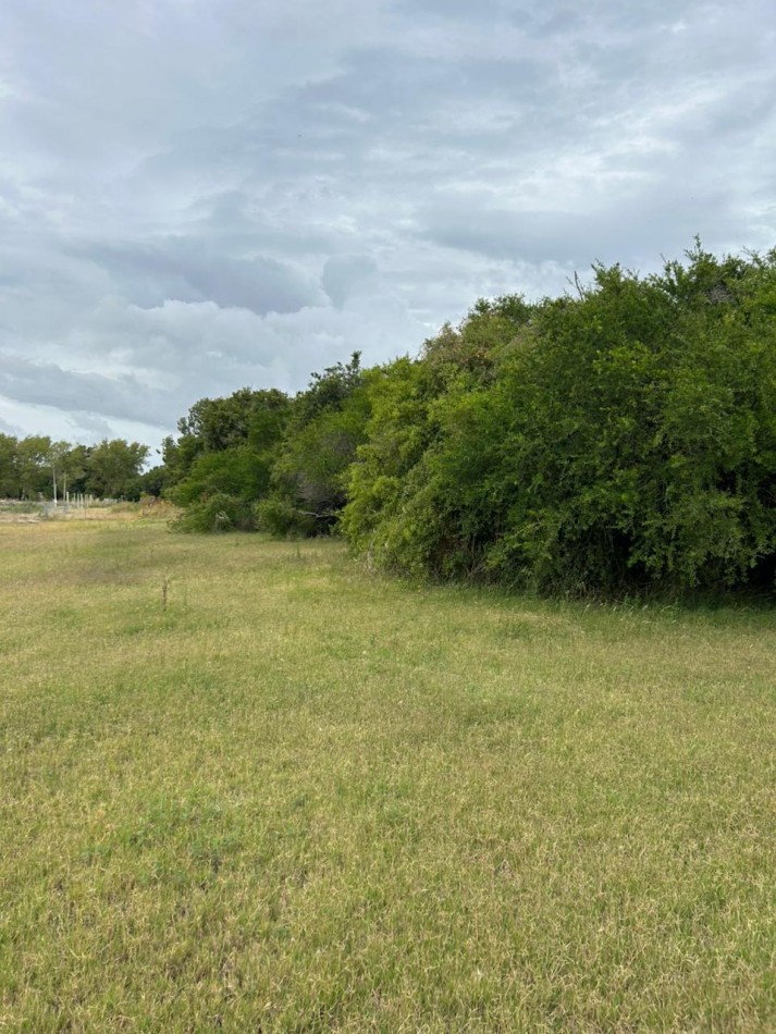 En venta lote de 20x70 en calle Mamboreta, Punta del Indio