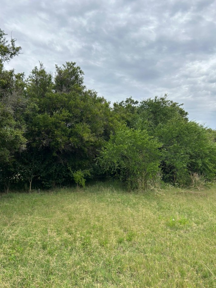 En venta lote de 20x70 en calle Mamboreta, Punta del Indio