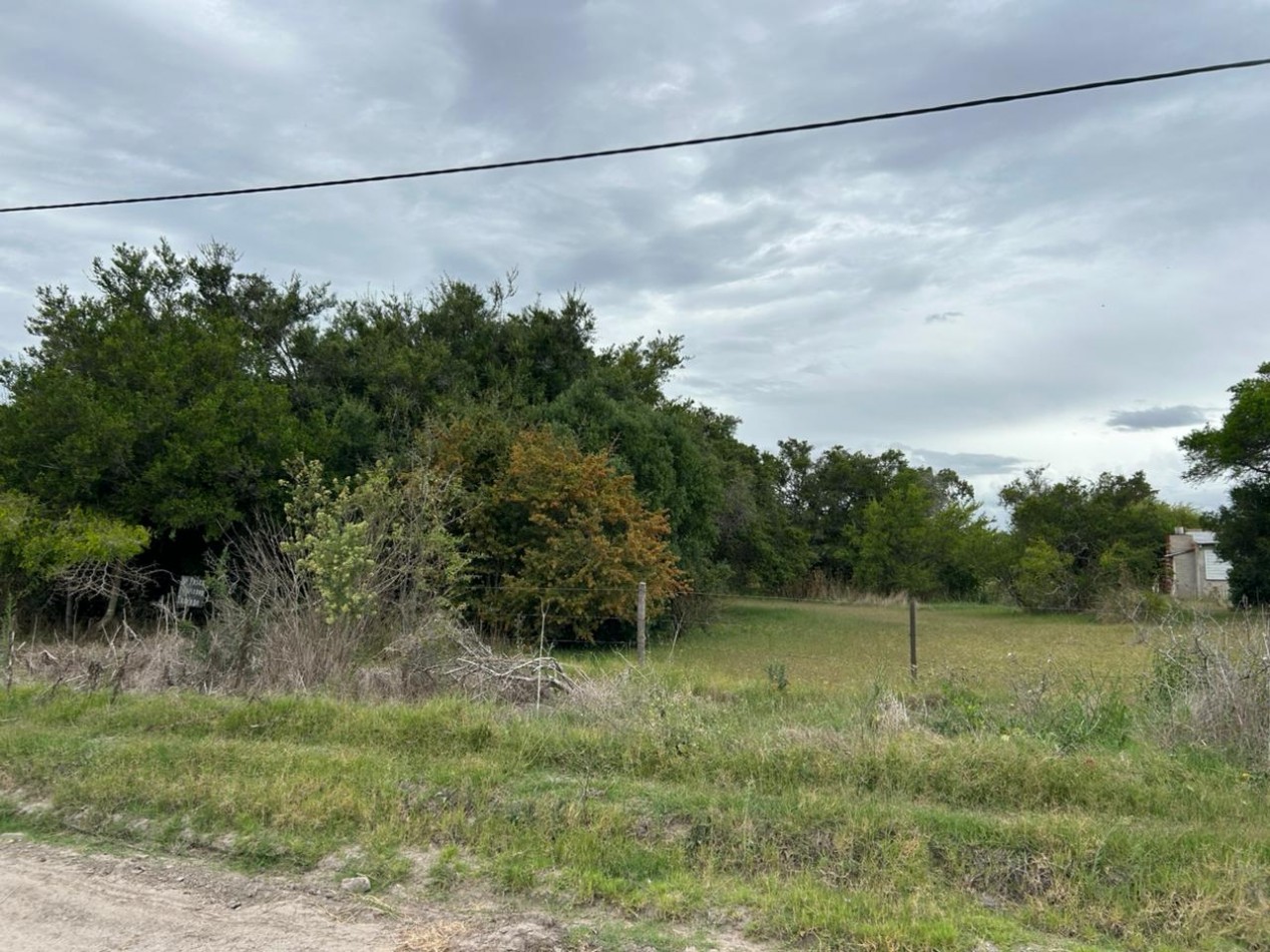 En venta lote de 20x70 en calle Mamboreta, Punta del Indio