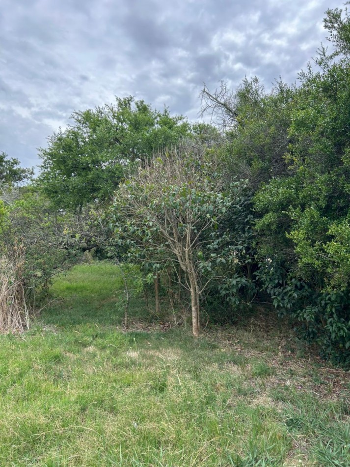 En venta lote de 20x70 en calle Mamboreta, Punta del Indio