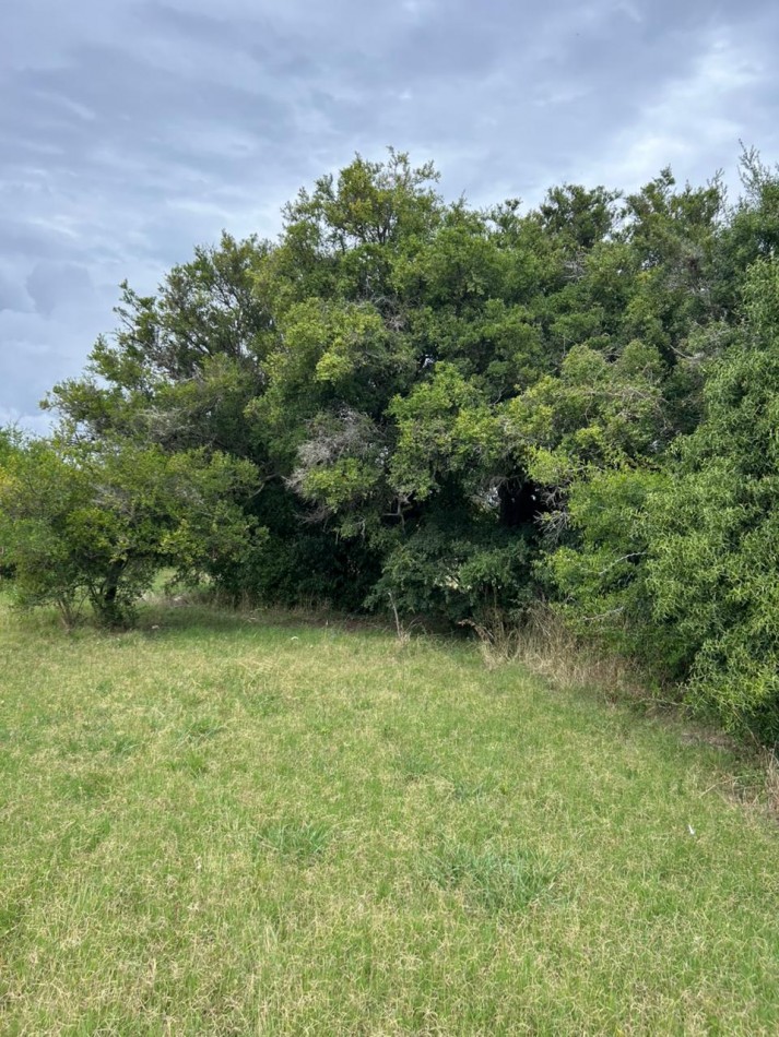 En venta lote de 20x70 en calle Mamboreta, Punta del Indio