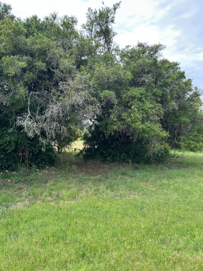 En venta lote de 20x70 en calle Mamboreta, Punta del Indio