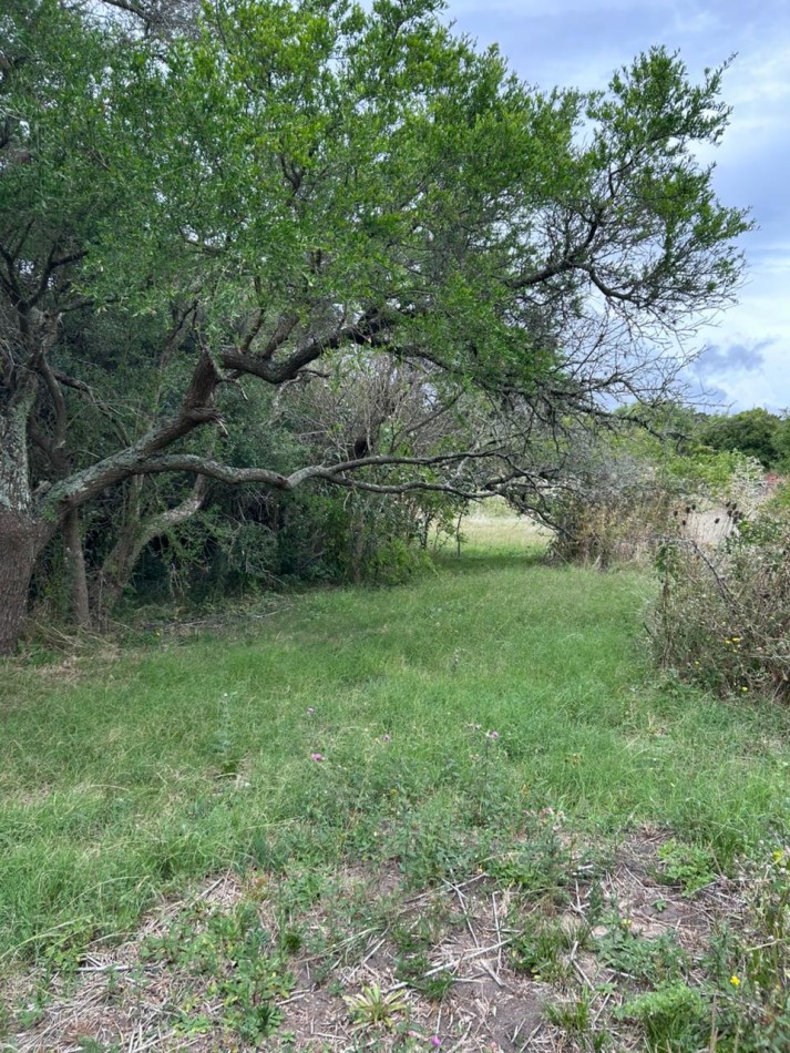 En venta lote de 20x70 en calle Mamboreta, Punta del Indio