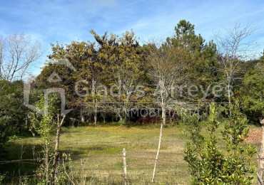 Lote De 20x80 En Esq. Calles Querandies Y Guaranies De Punta Indio, Provincia De Buenos Aires.