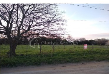 Lote De 29x57mts En Calle El Pericon, Punta Indio.